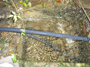 Pipes bring water from a naciente or spring.