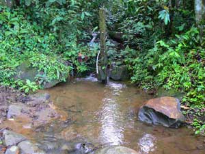 Acreage for sale at Lake Arenal, Costa Rica