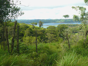 A building site with a lake view.