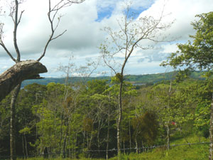 Another site with a view of the lake.