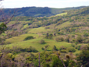 To the west pastures and delimiting forest lead to heavy forest on the far hills.