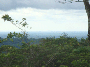 From a high point on the eastern end of the property, the miles of rolling plains of the provinces of Alajuela and the Northern Zone can be seen.