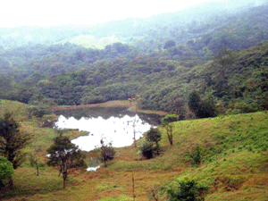 The lake is full of bass and tilapia.