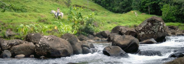 A horseback rider pauses beside the wide and exciting, fish-filled Rio Cote.