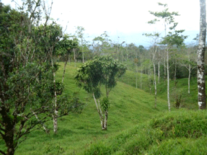 There is a great variety of terrains, including shallow ravines and rollling hills.