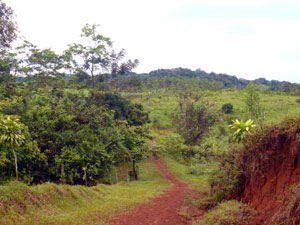 The farm begins just 400 yards down a farm road from the main road near the center of the village of La Cabanga.