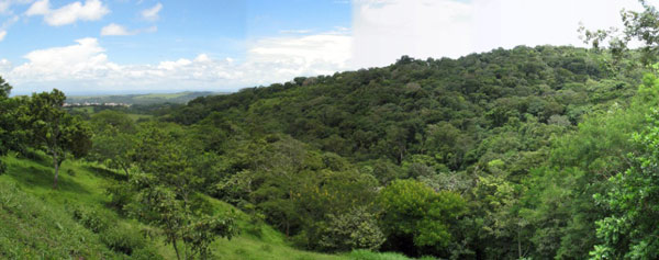 From the property complex terrain with streams leads to hilltop terrain, visible at far left.