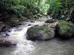 A narrow river below the property is reached by a pretty trail.