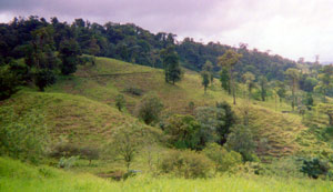 The property is blessed with some of the world's most beautiful vistas.