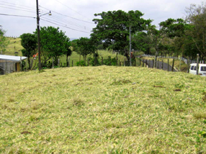 The newly paved road comes up the village of Los Angeles, which is halfway up the Canas-Tilaran highway.