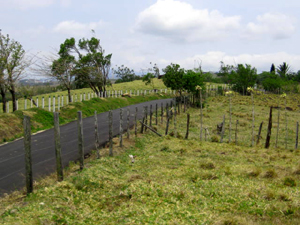 The newly paved road goes on past the acreage on its way to Lake Arenal, about 15 minutes further on. 