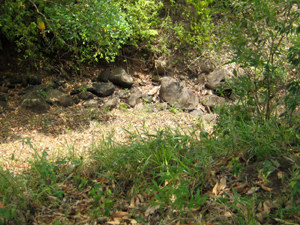 A stream flows through the property most of the year and there is a spring.