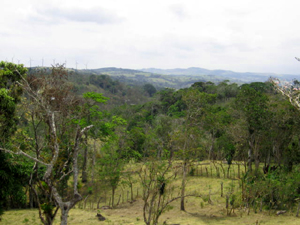 The acreage is on the sheltered western side of the Arenal mountains and the wind turbines atop those mountains can be faintly seen to upper left of this photo.