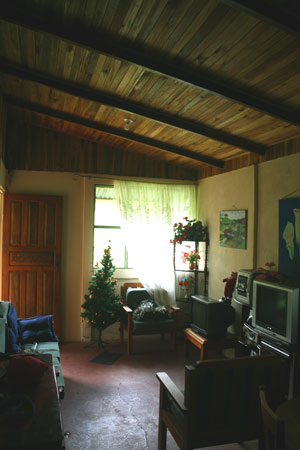 The 2BR living room is a large space with a high, paneled ceiling. 