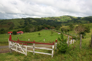 From the road between Tilaran and Monteverde, the two houses and much of the 33 acres can be seen extending to a road on the first hilltop.