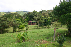 Besides much pasture, some forest, and streams, there are many fruit trees. 