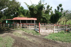 The creamery is located on another side of the forest copse from the two houses.