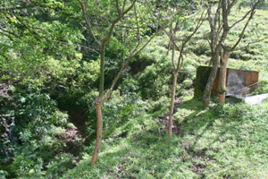 A pump draws water from the year-round stream.