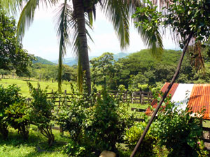 There's a long view from the sheltered porch.