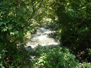 The Rio San Jose borders the long northern side of the finca. 