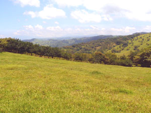 The vista takes in 3 distant dormant volcanos, the foothills, and the coastal lowlands.