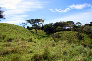 Parts of the lots have pretty valleys.