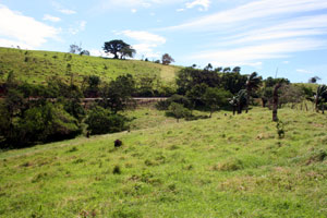 The lots are beside the paved road from Tilaran to Monteverde.