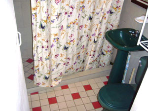 The bathroom is in good condition with recent tile, good fixtures, and a shower.