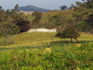 Above the house, the gentle hills climb eastward toward a modest mountain. 