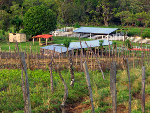 the farm buildings and fencing are in fine condition. 