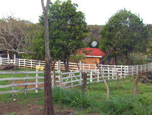 The house, with TV satellite dish on top, sits in a nicely shaded area. 