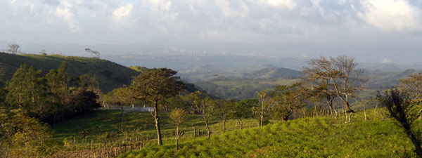 The ranch is located on the western slopes near Libano and has views of the windturbines and volcanos to the north as well as to hills and forest all around. 