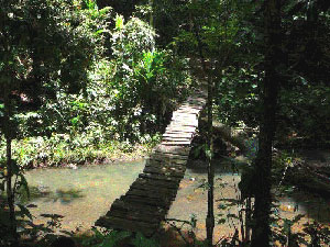 A rough footbridge crosses a peaceful river.