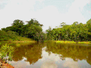 There are several lakes on the huge property.