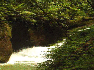 A short whitewater section on a beautiful stretch of river.