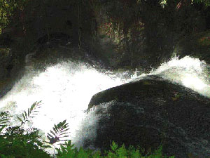 Two rivers pass thorugh the property. Three waterfalls of 9 to 12 feet are on the rivers.