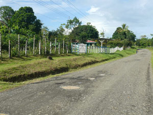 The farm fronts on the Guatuso road at the edge of the village of Cabanga.