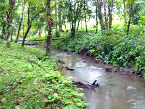 The Cabanga River flows through the northern end of the farm. 