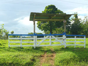 At the entrance porton on the Cabanga road, the farm is very narrow, just over 40 yards. 