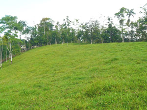 The slope to the center of the farm is not too steep.