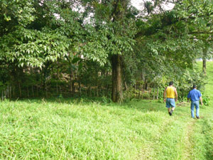 Here the road has reached a point where the farm begins to widen dramatically in a couple of steps.