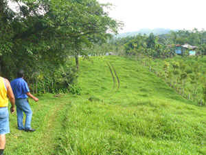 From the narrow front on the Cabanga road - a width of just over 40 yards, a vestigial road leads into the property. 