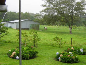 In addition to the dwellings there are farm buildings such as this storage building.