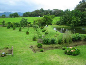 There's not just pasture and forest but nicely landscaped areas on the property as in this area around the tilapia pond and stream.