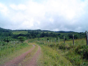 This secondary road leads from the paved Sabalito road to the property.