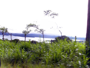 The property approaches quite close to Lake Arenal and has good lake views.