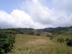 There are vestigial internal roads which lead to far areas of the acreage. 