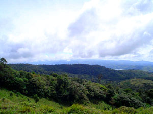 Much of the 570 acres is in very thick old growth and secondary growth forest.