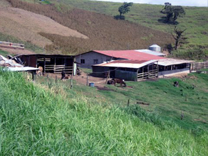 There are substantial farm buildings on this great ranch.