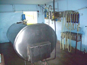 The large milk tank is part of the equipment which would enable a buyer to continue production immediately.